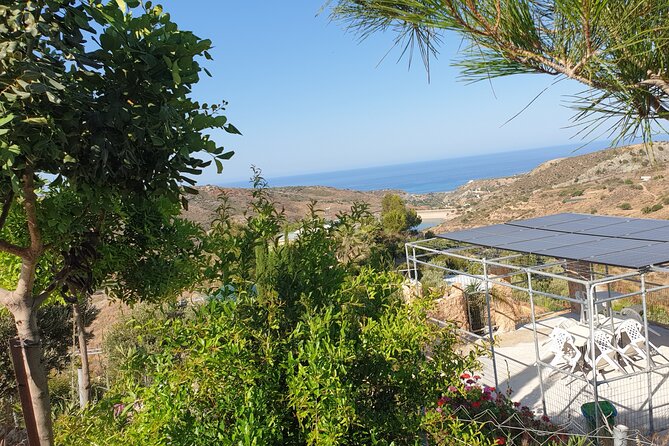 2-Hour Botanic Garden Tour in Akoursos - Swimming beside the waterfalls and Adonis Cave