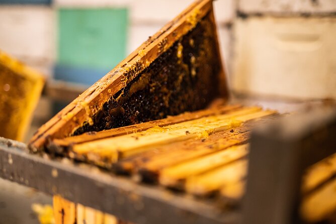 30-Minute Guided Honey Tasting Activity in Melini - Company videos put the jar in context