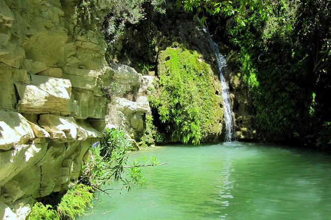 4 hour Quad & Buggy Safari Akamas(lara Bay) & Adonis Falls - Adonis Baths: beautiful water, limited time