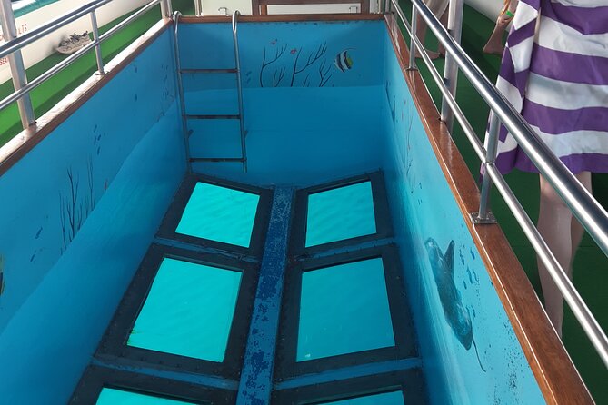 90-Minutes Glass Bottom Trip With Quick Dip - What this Paphos cruise is really like