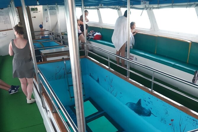 90-Minutes Glass Bottom Trip With Quick Dip - The reef stop and chance of sea turtles