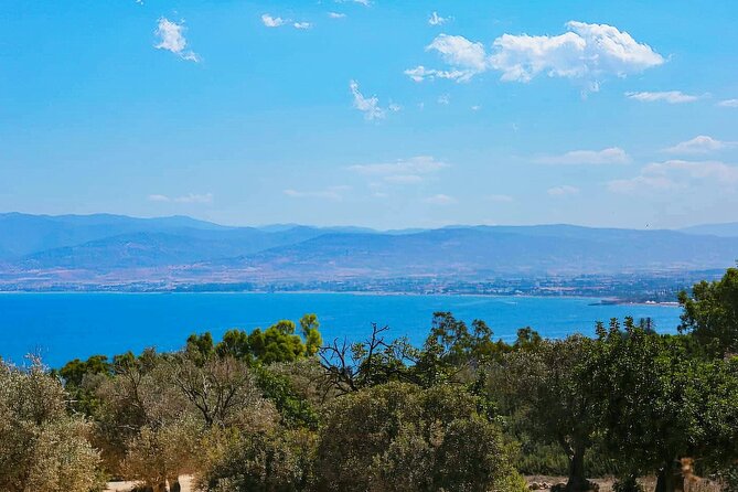 Akamas, Baths of Aphrodite and Blue Lagoon Day Tour from Paphos - Latchi and the 90-minute lunch break