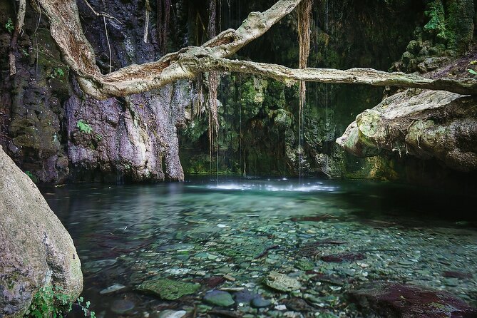 Akamas, Baths of Aphrodite and Blue Lagoon Day Tour from Paphos - How much value do you get for $53.92?