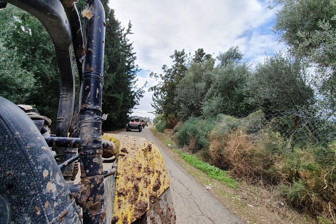 Beach & Off road Buggy Safari in Paphos - What the experience does well, and where it falls short