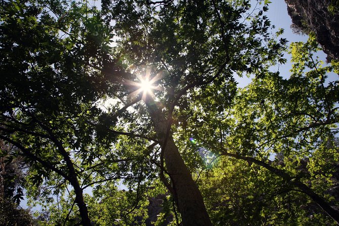 Beauty, Nature and Charm of Troodos Mountains from Paphos - Troodos Square: time to pause and eat