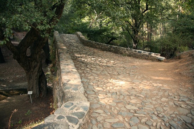 Beauty, Nature and Charm of Troodos Mountains from Paphos - The guide and vehicle experience