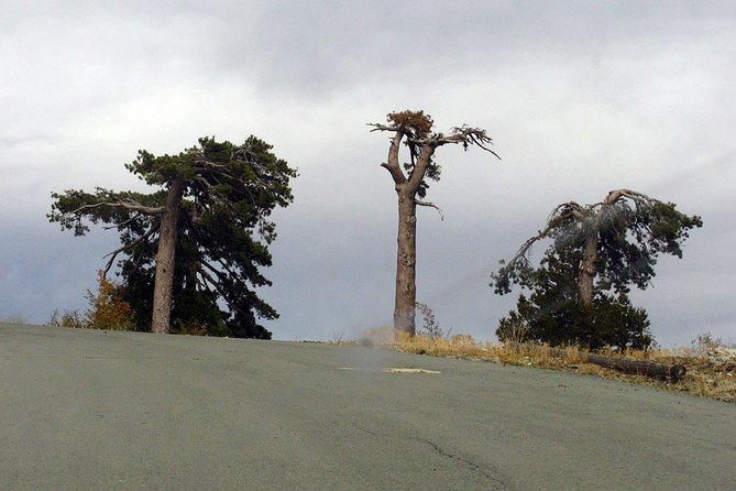Beauty, Nature and Charm of Troodos Mountains from Paphos - Lambouri Winery and Cyprus in a glass