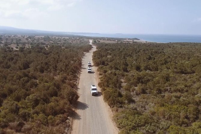 Cruise and 4X4 Safari Tour at Akamas Peninsula from Paphos - Why this Akamas day makes sense from Paphos