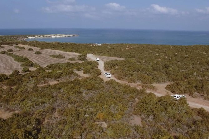 Cruise and 4X4 Safari Tour at Akamas Peninsula from Paphos - Avakas Gorge: the most physical stop