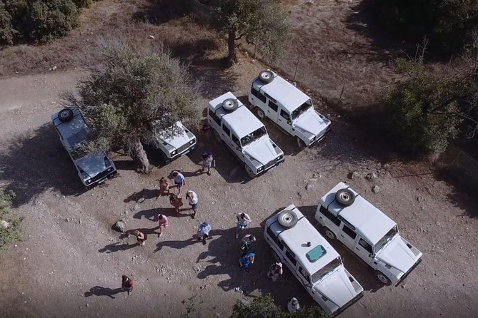 Cruise and 4X4 Safari Tour at Akamas Peninsula from Paphos - Starting from Paphos at 7:45 am