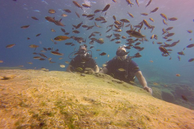 Discover Scuba diving - Key points to know before booking