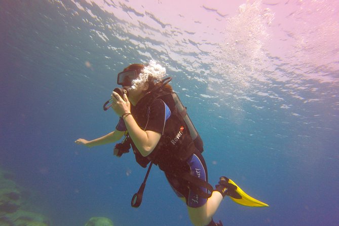 Discover Scuba diving - The instructors make or break the experience