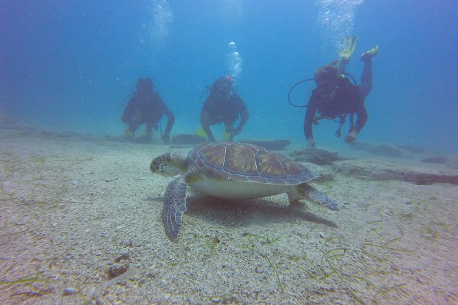 Discover Scuba diving - Transport, timing, and practical planning