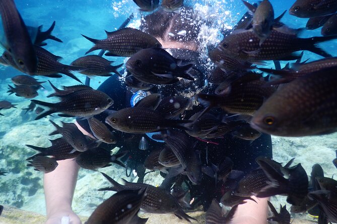 Discover Scuba Diving - Who will enjoy this most?