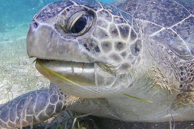Discover Scuba Diving - Practical timing and cancellation advice