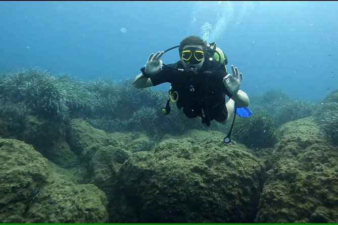 Discover SCUBA Diving with Pissouri Bay Divers - What this first SCUBA session really offers