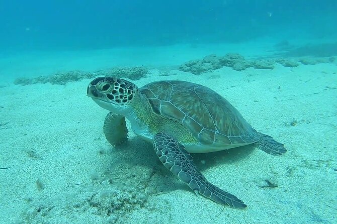 Discover SCUBA Diving with Pissouri Bay Divers - Handling the equipment before entering the sea