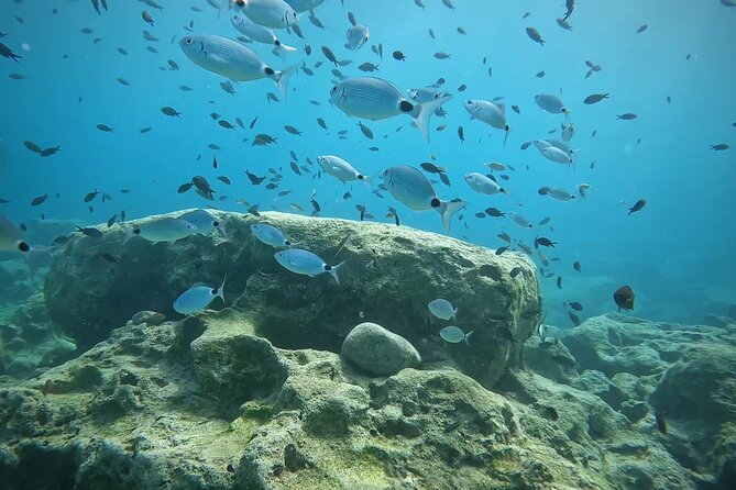 Discover SCUBA Diving with Pissouri Bay Divers - Why the guides matter more than the equipment