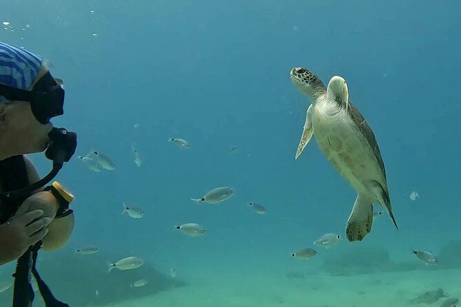 Discover SCUBA Diving with Pissouri Bay Divers - The value of $145.18