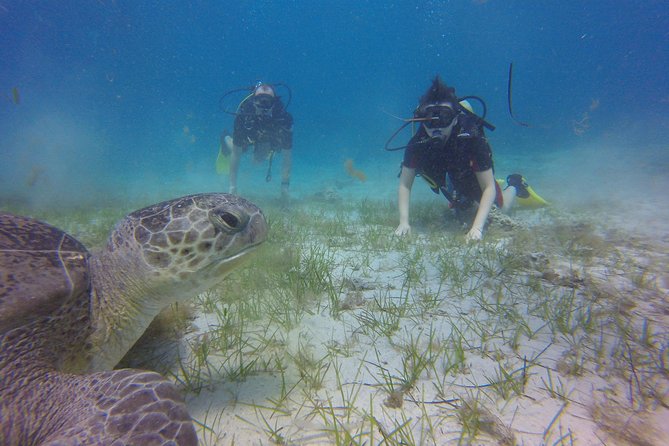 Discover Scuba Diving - Getting ready outside your hotel