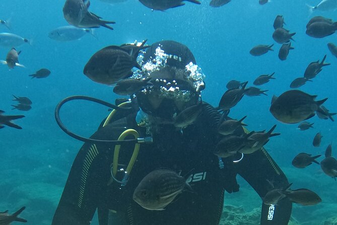 Dive The Rock (Scuba Diving Experience in Protaras) - Key points at a glance