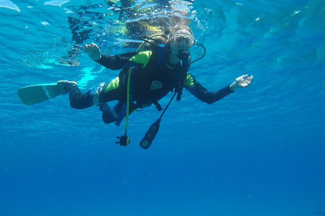 Dive The Rock (Scuba Diving Experience in Protaras) - Is the $102.12 price good value?