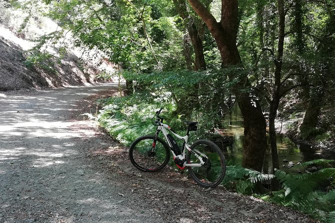 Explore Paphos forest with e-mountain bikes - Who will enjoy this ride most