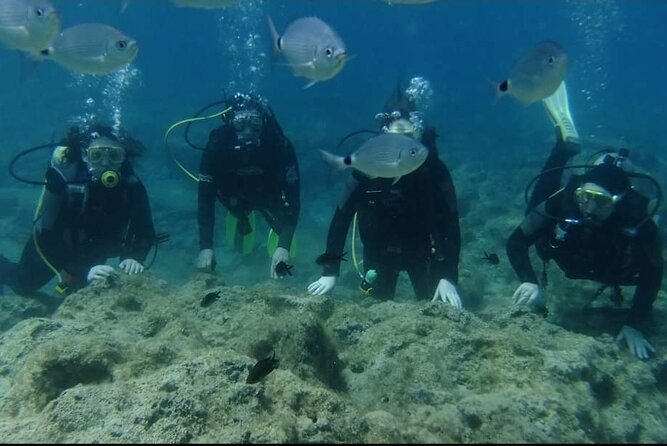 First Time Scuba Dive Adventure, Makronissos, Ayia Napa - The theory session makes the first minutes underwater easier