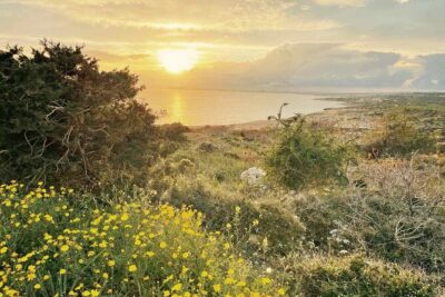From Larnaca – Cape Greko Highlights Tour (Group of 5 People)