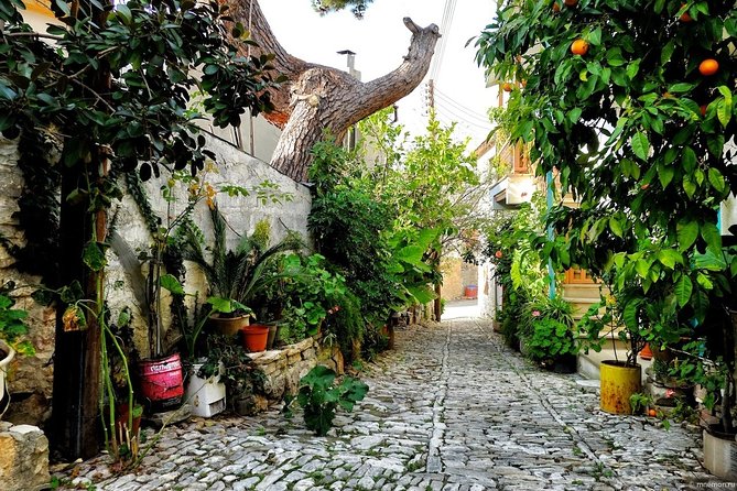 Gourmet Cyprus Tour – Local Flavors & Wine from Paphos - What the $71.04 price really covers