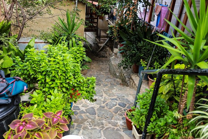 Gourmet Cyprus Tour – Local Flavors & Wine from Paphos - Lania, a village walk with flowers and old stone homes