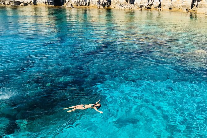 Guided snorkeling trip to the turtles in Protaras - What to expect from the turtle encounter