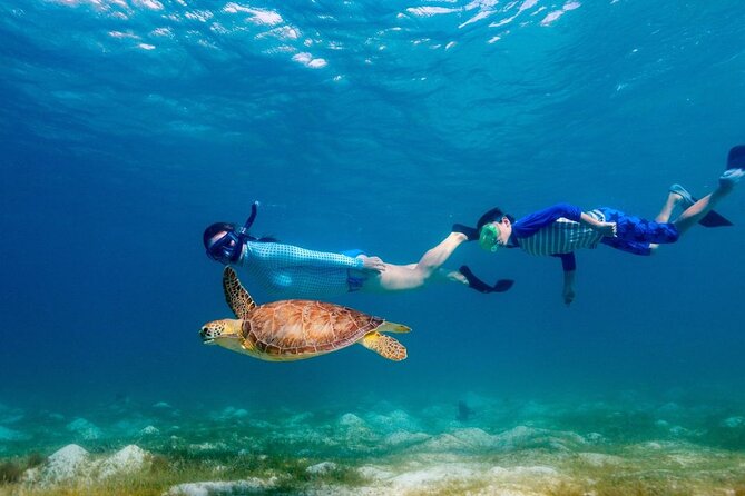Guided snorkeling trip to the turtles in Protaras - Who will enjoy this Protaras tour most