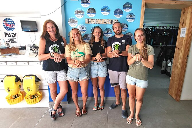Guided snorkeling trip to the turtles in Protaras - What the turtle specialists add