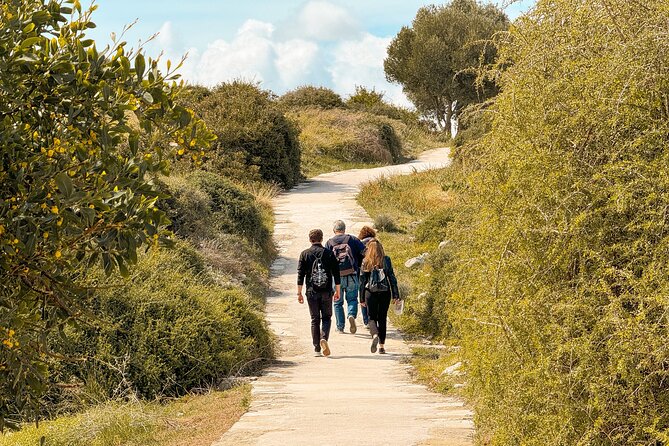 Guided Tour of Limassol with Kourion and Kolossi Castle - Kourion: the reason to protect your walking time