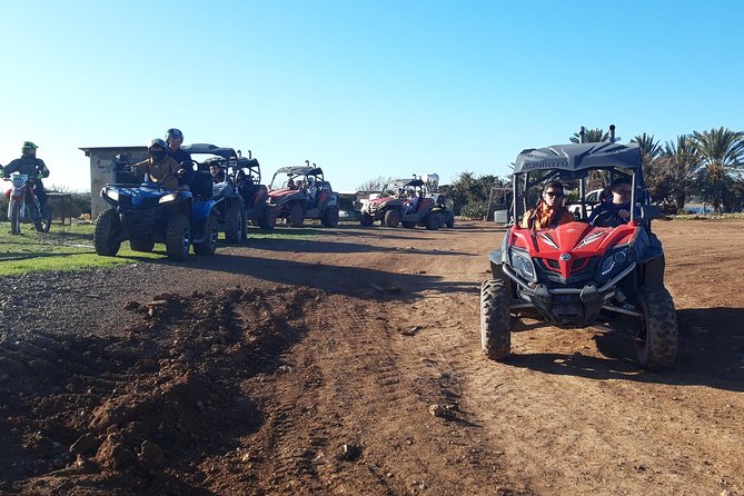 Half-Day Buggy Safari to Akamas Peninsula with Lunch - Lunch at a local restaurant