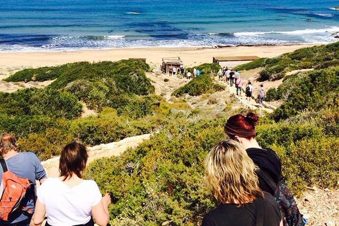 Half day Safari Tour to Akamas Peninsula from Paphos - Why Avakas Gorge makes this tour worthwhile