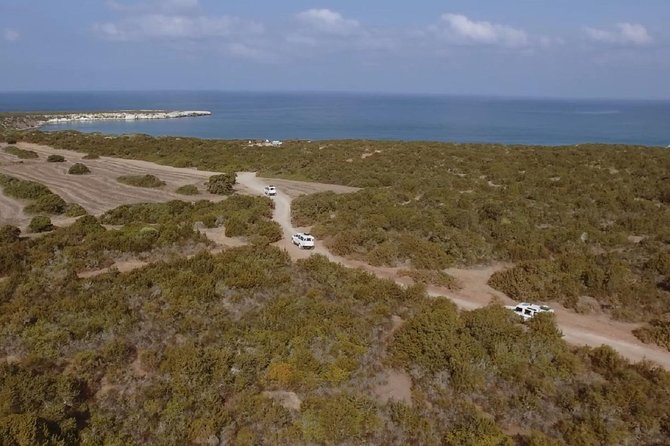 Half day Safari Tour to Akamas Peninsula from Paphos - Lara Bay and the turtle conservation station