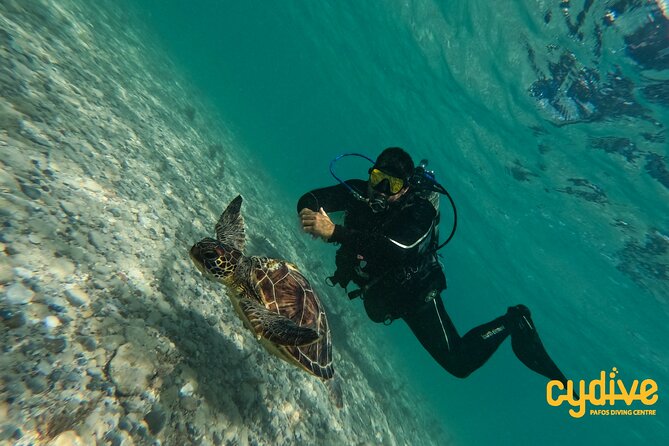 Half-Day Scuba Diving Tour - Discover Scuba Diving! - Pool practice: the most useful part for nervous beginners