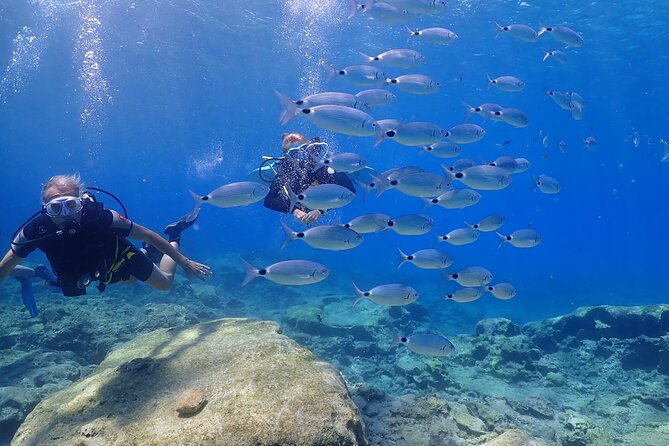 Introductory diving in small groups - How the experience compares with more dramatic Cyprus scuba