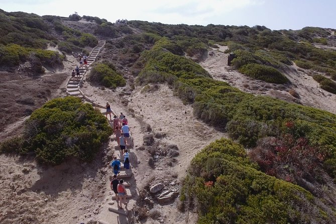 Jeep Safari Akamas from Paphos - The Akamas viewpoint on the full-day program