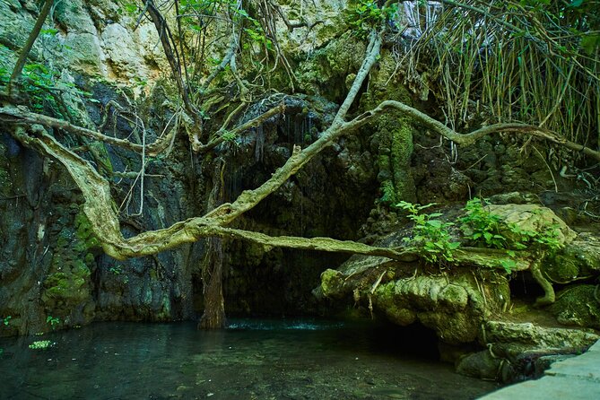 Jeep Safari Akamas from Paphos - What the guides add to the experience