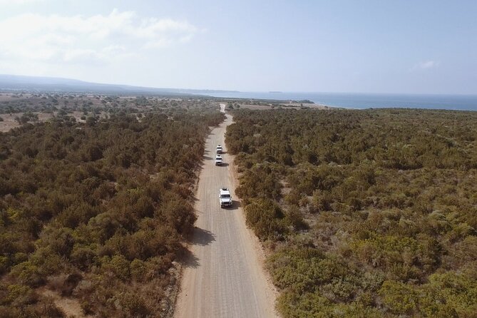 Jeep Safari Akamas from Paphos - Lara Beach and the turtle question