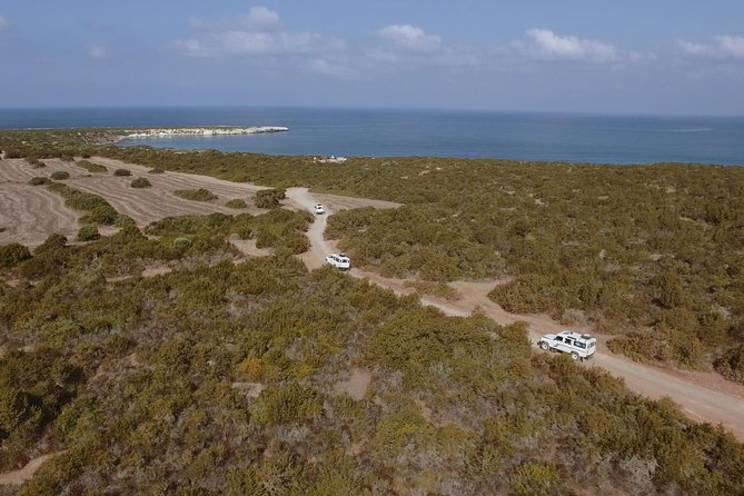 Jeep Safari to Akamas from Limassol - Key points to know before booking