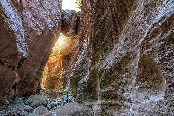 Jeep Safari to Akamas National Park: Avakas Gorge Tour from Paphos - Why this safari is a useful way to see Akamas