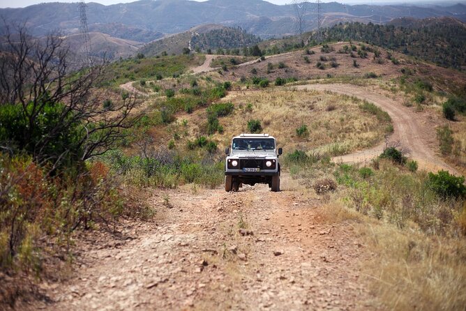 Jeep Safari to Akamas National Park: Avakas Gorge Tour from Paphos - Lara Bay: turtle protection on a quiet beach