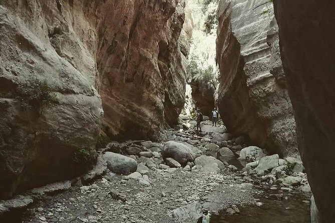 Jeep Safari to Akamas National Park: Avakas Gorge Tour from Paphos - Latchi: lunch by the water
