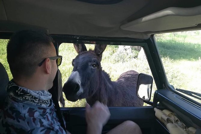 Jeep Safari to Akamas National Park: Avakas Gorge Tour from Paphos - Aphrodite’s Baths: pretty, brief, and easy to overrate