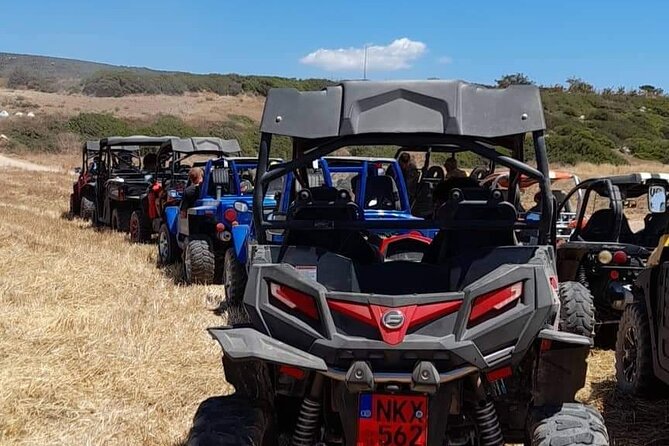 Lara Bay & Adonis Falls Quad & Buggy Tour - Choosing between a quad bike and mini Jeep