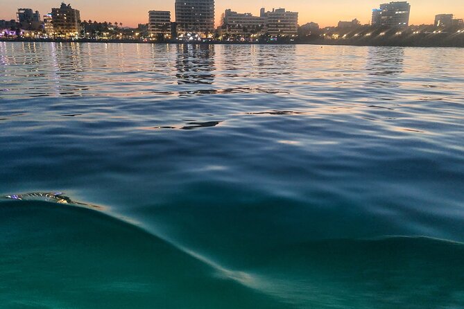 Larnaca Sunset Cruise with Unlimited Beers & Wine - The underwater cabin and marine views